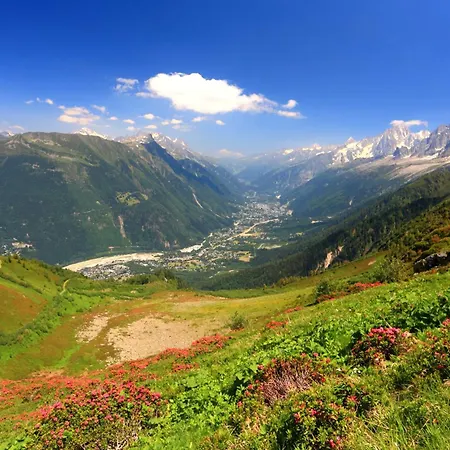 Panorama Mont-blanc - Happy *